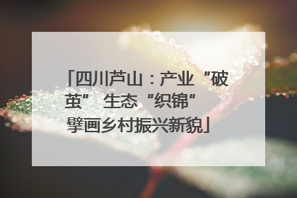 四川芦山：产业“破茧” 生态“织锦” 擘画乡村振兴新貌