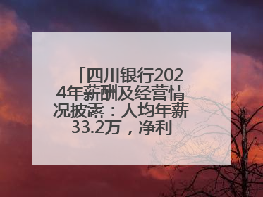 四川银行2024年薪酬及经营情况披露：人均年薪33.2万，净利润突破20亿