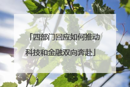 四部门回应如何推动科技和金融双向奔赴