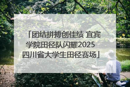 团结拼搏创佳绩 宜宾学院田径队闪耀2025四川省大学生田径赛场