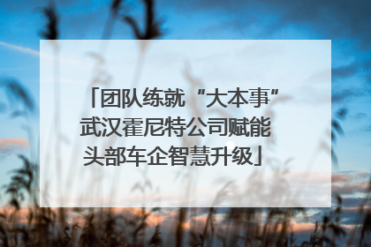 团队练就“大本事” 武汉霍尼特公司赋能头部车企智慧升级