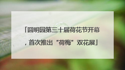 圆明园第三十届荷花节开幕，首次推出“荷梅”双花展