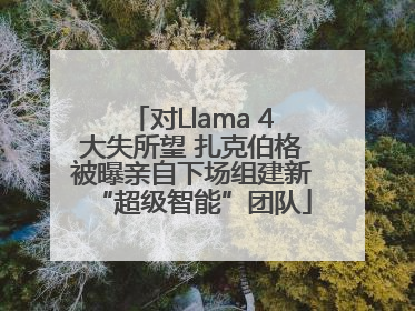 对Llama 4大失所望 扎克伯格被曝亲自下场组建新“超级智能”团队