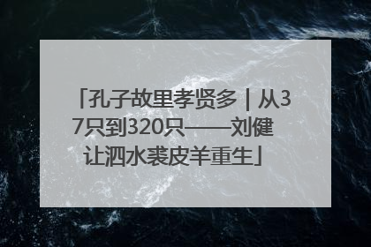 孔子故里孝贤多｜从37只到320只——刘健让泗水裘皮羊重生