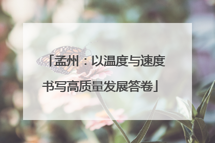孟州：以温度与速度书写高质量发展答卷