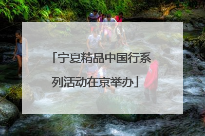 宁夏精品中国行系列活动在京举办
