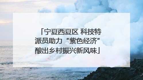 宁夏西夏区 科技特派员助力“紫色经济”酿出乡村振兴新风味