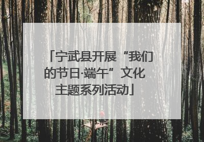 宁武县开展“我们的节日·端午”文化主题系列活动