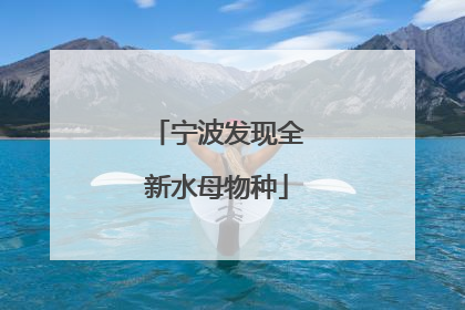 宁波发现全新水母物种