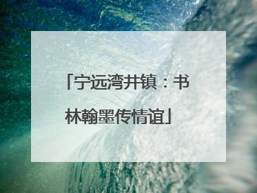 宁远湾井镇：书林翰墨传情谊