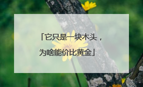 它只是一块木头，为啥能价比黄金