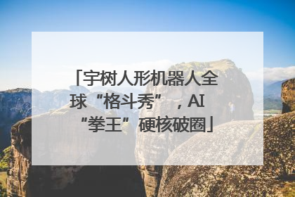 宇树人形机器人全球“格斗秀”，AI“拳王”硬核破圈