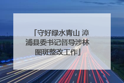 守好绿水青山 漳浦县委书记督导涉林图斑整改工作