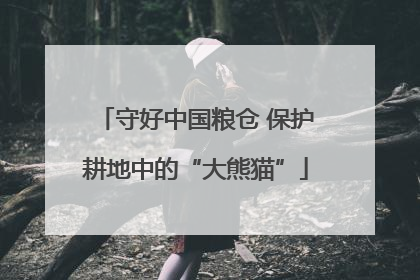 守好中国粮仓 保护耕地中的“大熊猫”