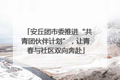 安丘团市委推进“共青团伙伴计划”，让青春与社区双向奔赴