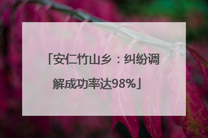 安仁竹山乡：纠纷调解成功率达98%