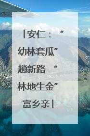 安仁：“幼林套瓜”趟新路 “林地生金”富乡亲