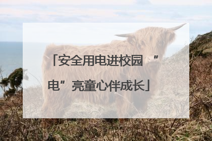 安全用电进校园 “电”亮童心伴成长