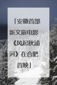 安徽首部新文旅电影《风起秋浦河》在合肥首映