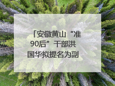 安徽黄山“准90后”干部洪国华拟提名为副区县长人选