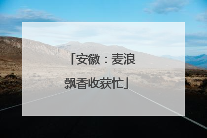 安徽：麦浪飘香收获忙