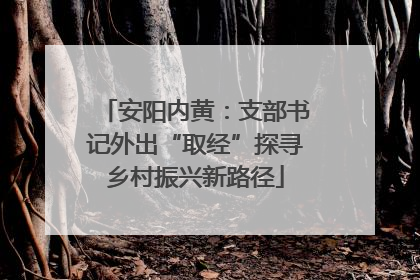 安阳内黄：支部书记外出“取经”探寻乡村振兴新路径