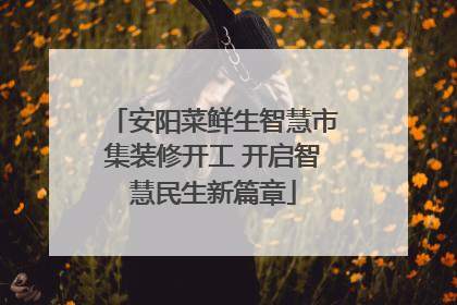 安阳菜鲜生智慧市集装修开工 开启智慧民生新篇章