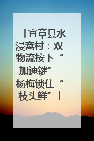 宜章县水浸窝村：双物流按下“加速键” 杨梅锁住“枝头鲜”