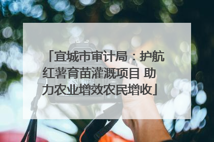宜城市审计局：护航红薯育苗灌溉项目 助力农业增效农民增收