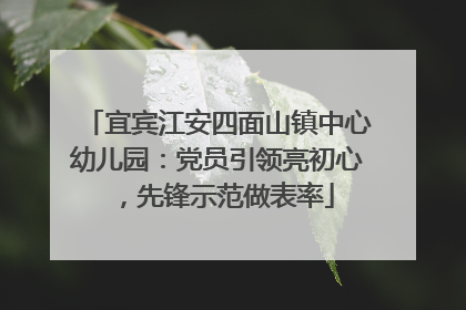 宜宾江安四面山镇中心幼儿园：党员引领亮初心，先锋示范做表率