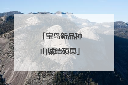 宝岛新品种 山城结硕果