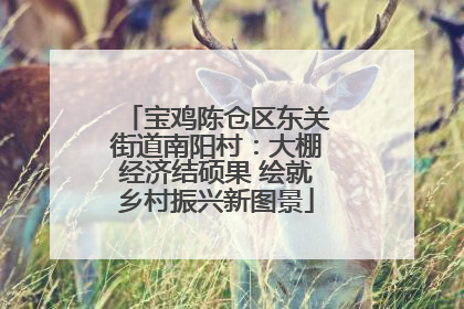 宝鸡陈仓区东关街道南阳村：大棚经济结硕果 绘就乡村振兴新图景