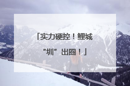 实力硬控！鲤城“圳”出圈！