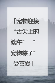 宠物迎接“舌尖上的端午” “宠物粽子”受喜爱