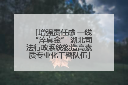 增强责任感 一线“淬真金” 湖北司法行政系统锻造高素质专业化干警队伍