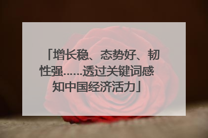 增长稳、态势好、韧性强……透过关键词感知中国经济活力