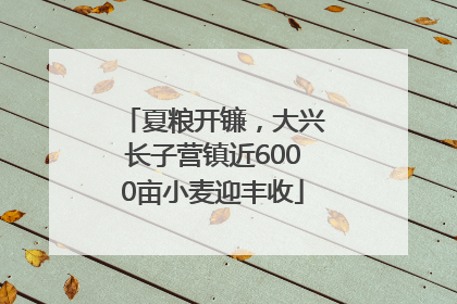 夏粮开镰，大兴长子营镇近6000亩小麦迎丰收