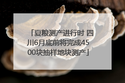 夏粮测产进行时 四川6月底前将完成4500块抽样地块测产