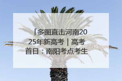 多图直击河南2025年新高考｜高考首日：南阳考点考生信心满满迎战