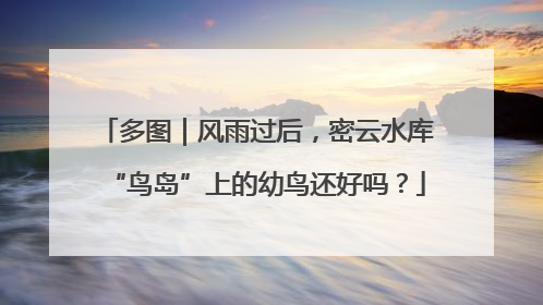 多图｜风雨过后，密云水库“鸟岛”上的幼鸟还好吗？