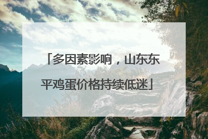 多因素影响，山东东平鸡蛋价格持续低迷