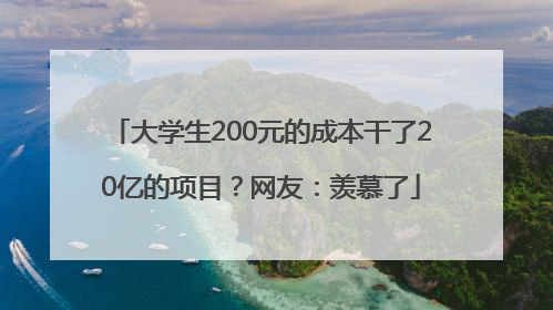 大学生200元的成本干了20亿的项目？网友：羡慕了