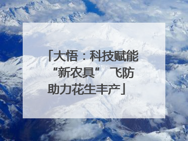 大悟：科技赋能“新农具” 飞防助力花生丰产