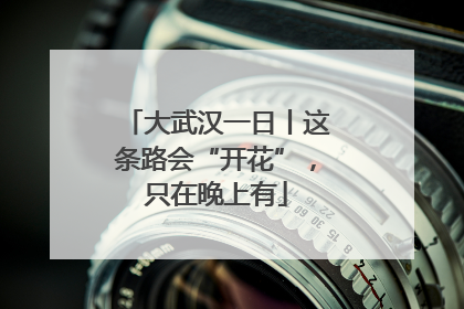 大武汉一日丨这条路会“开花”，只在晚上有