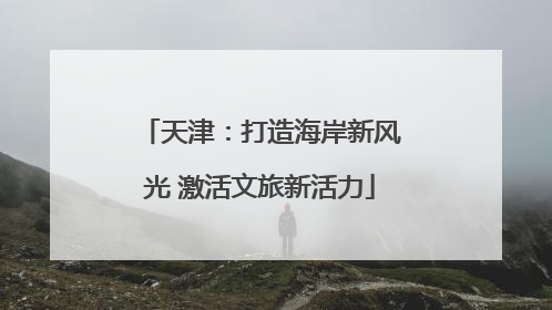 天津：打造海岸新风光 激活文旅新活力