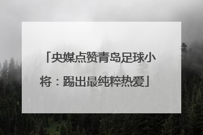 央媒点赞青岛足球小将：踢出最纯粹热爱
