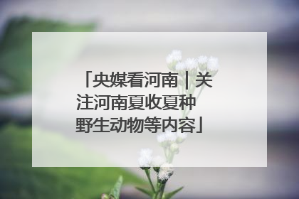 央媒看河南｜关注河南夏收夏种 野生动物等内容
