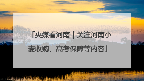 央媒看河南｜关注河南小麦收购、高考保障等内容