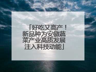 好吃又高产！新品种为安徽蔬菜产业高质发展注入科技动能