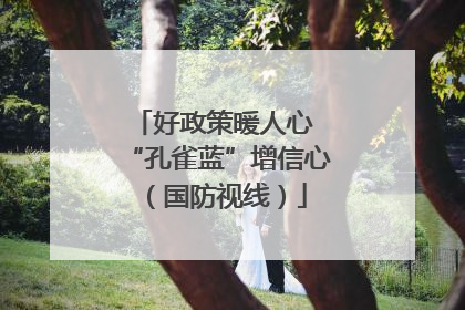 好政策暖人心 “孔雀蓝”增信心（国防视线）